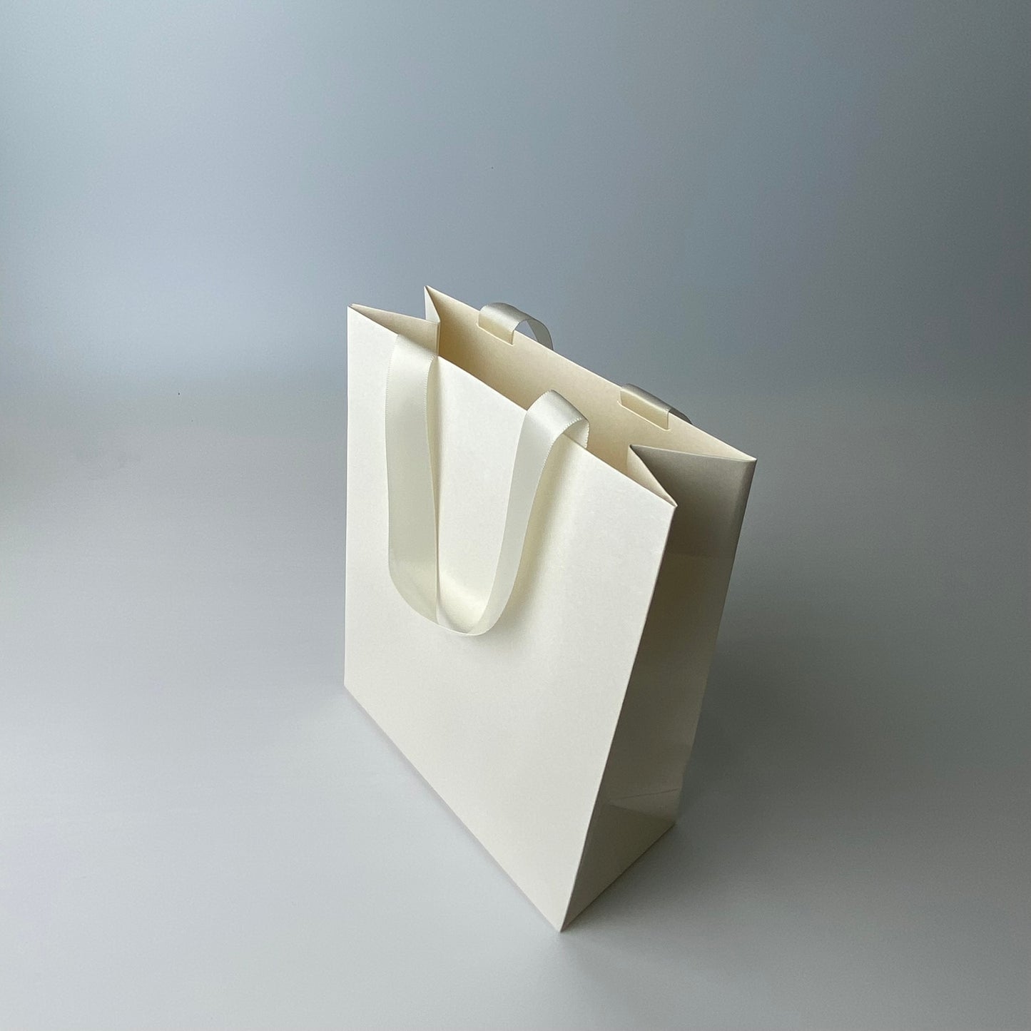 Set of 100 Premium Multicolor Paper Bags (18x22x8cm) – Custom Logo