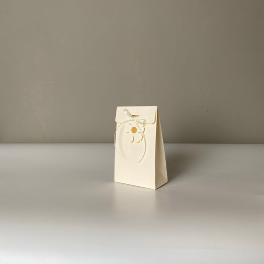 Set of 100 White Kraft Paper Bags with hanging tag (10 × 16 × 5 cm) – Foldable Bottom